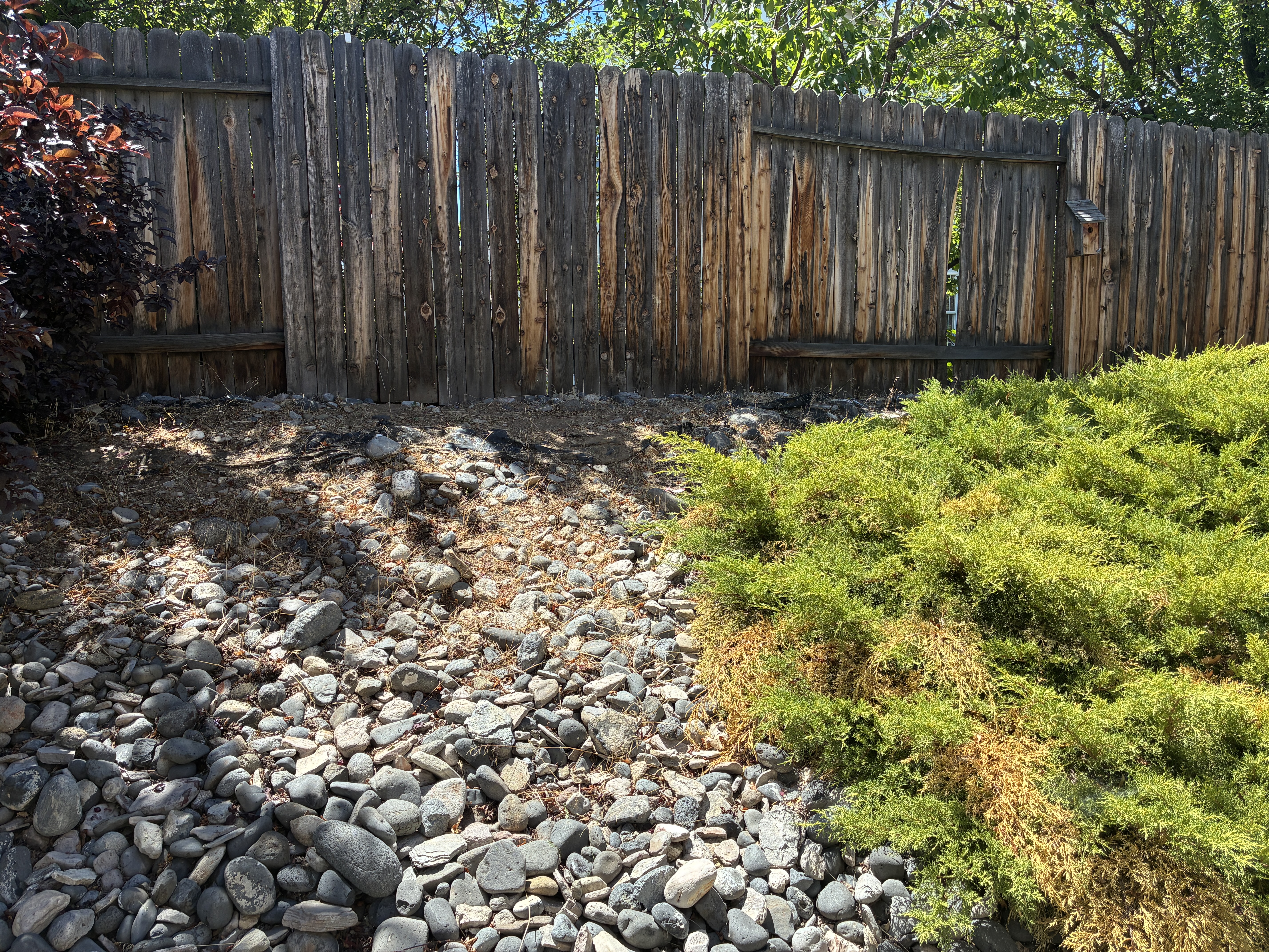 After weed removal - clean landscape